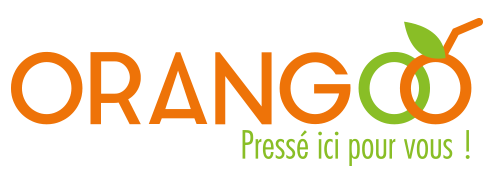 INTBUYING 110V Commercial Machine à jus d'orange Presse-agrumes
